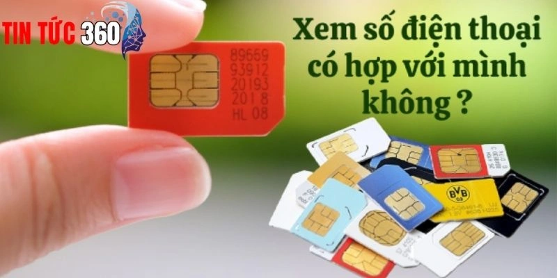 Số điện thoại phong thủy mang lại sự thuận lợi trong công việc và cuộc sống